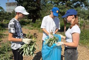 Более 4 тысяч подростков в Краснодаре летом устроились на временную работу