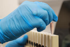 План исследований одобрен правительством и рассчитан на несколько лет