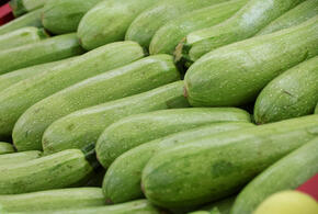 Пять простых идей для вкусных заготовок