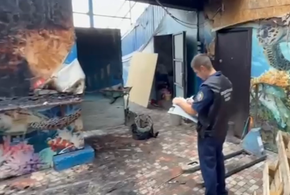 Что на самом деле произошло: удалось ли выжить крокодилам и другим рептилиям при пожаре в Ейске?