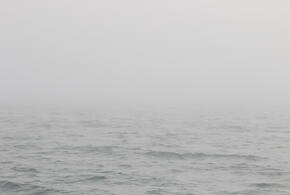 Что происходит в Новороссийске: сирена и взрывы не умолкают, БЭКи движутся к берегу. Под угрозой Широкая Балка