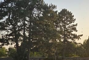 Дожди и грозы: синоптики рассказали, какой будет погода на Кубани 8 сентября