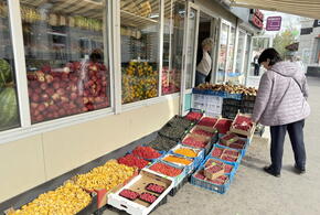 Выбираем самые полезные, чтобы защитить организм от вирусов