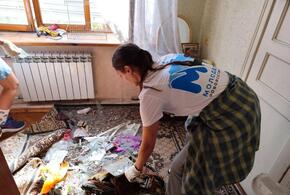 Глава города рассказал, что жителям помогают волонтеры