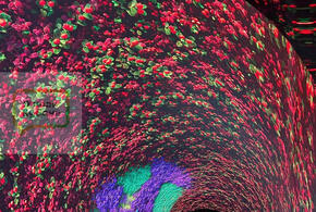 Атмосферная локация стала одной из самых необычных и популярных у жителей и гостей города