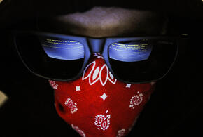 Кубанского программиста не уберегли знания от уловок мошенников в Сети