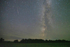 Львы справятся с новыми задачами, работоспособность Дев будет на высоте