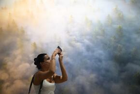 Больше всего жалоб от обладателей моделей Google Pixel 8, 9, 10 и 10 Pro