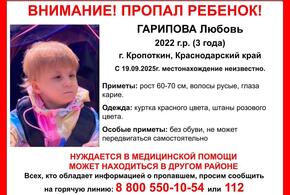 На Кубани третий день ищут пропавшую 3-летнюю девочку с ДЦП