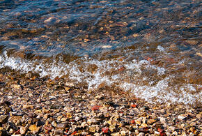 На пляже Большого Утриша в Анапе сцепились нудисты и отдыхающий с видеокамерой