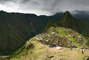 Неизвестное науке сумчатое обнаружили в горах Перу 