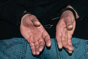 Супружеская пара и трое сообщников задержаны полицией