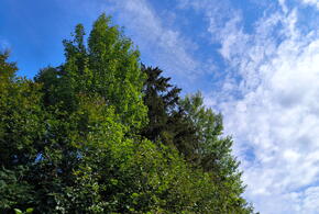 Жителей эвакуируют, ликвидация последствий продолжается 