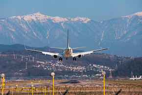 Обстановка в аэропорту Сочи: задержек рейсов после ночных ограничений нет