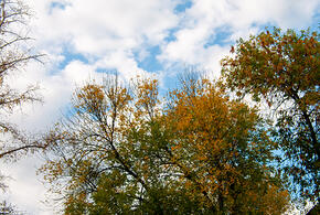 Очень ветреная погода ожидается 14 сентября в Краснодарском крае