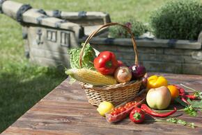 Простые и интересные сочетания ингредиентов, которые легко приготовить дома