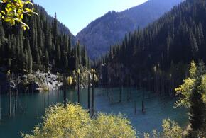 По-летнему тепло: до 29 градусов прогреется воздух 23 сентября на Кубани