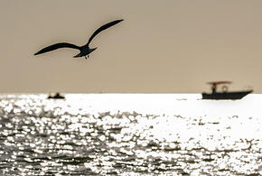 По всему Краснодарскому краю объявлена беспилотная опасность, эвакуируют пляжи
