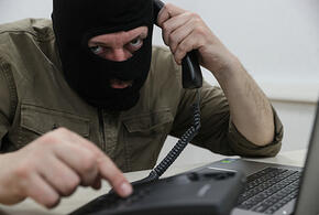 Почему женщины, ориентированные на карьерный рост, чаще всего становятся жертвами мошенников, рассказали в полиции