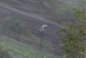 Погода портится: в ближайшие дни на Краснодар обрушатся ливень и сильный ветер