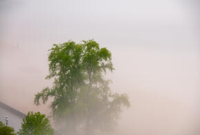 Мы собрали для вас новости, которые обязательно надо обсудить с коллегами, друзьями или родственниками 