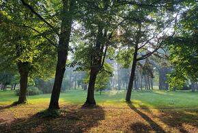 Осень пока радует теплом