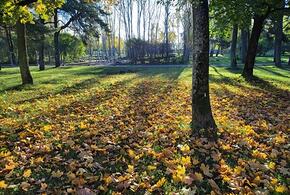 СБУ объявила в розыск Валуева, арестован экс-председатель политической партии: что произошло, пока вы спали