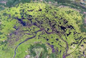 Сибиряк искал металлолом в лесу, но раскопал шахту ядерной ракеты