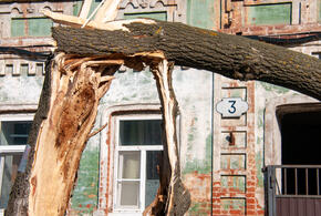 Сильный ветер будет свирепствовать ближайшие дни на Кубани: рассказываем, каким городам пора готовиться ко встрече со стихией