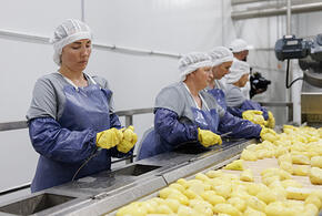 Специалисты рассказали, какой картофель наиболее полезен