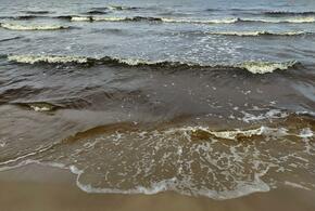 Трагедия произошла в Крыму