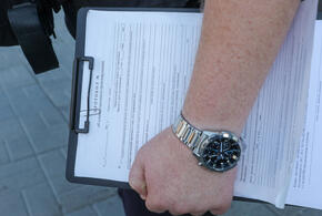 Пациенты жалуются на насекомых, которые атакуют с разных сторон