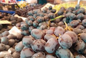 епло и утренний туман: синоптики рассказали о погоде на Кубани 5 сентября