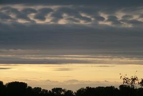 Мы собрали для вас новости, которые обязательно надо обсудить с коллегами, друзьями или родственниками 