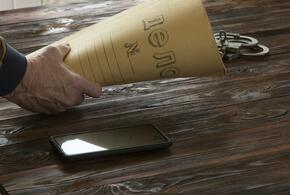 В Анапе раскрыли масштабное преступление с земельными участками