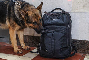 В Краснодаре эвакуировали «Центр города»