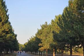 В Краснодаре решили временно закрыть «Ботанический сад» из-за неблагоприятных погодных условий 