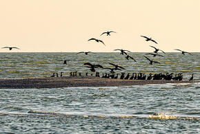 В Краснодарском крае и Крыму объявлена авиационная опасность