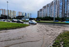 В Краснодарском крае реки выйдут из берегов, синоптики прогнозируют сильные дожди