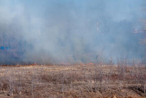 Пока справится с огнем не удалось 