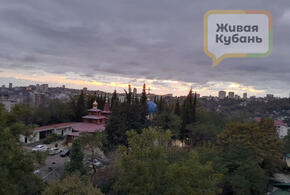 В Сочи недобросовестные застройщики выплатят городу больше миллиарда рублей