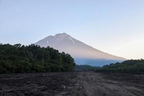 В Вашингтоне теперь смертная казнь, в Петропавловске-Камчатском ввели режим повышенной готовности: что произошло, пока вы спали