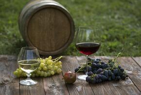 Прогулки по виноградникам и садам привлекают все больше отдыхающих