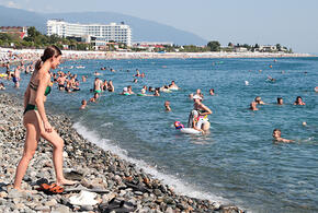 Вклад туристической отрасли в ВРП Кубани достиг почти 8 процентов