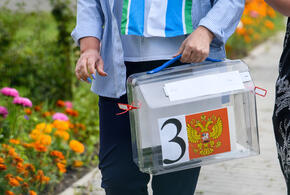 Выборы завершатся в 20.00