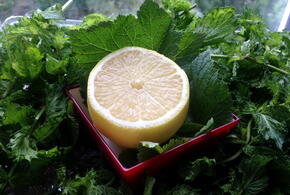 5 витаминов, особенно необходимых осенью