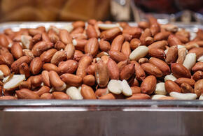 80 тонн заражённого арахиса привезли на Кубань из Индии, но возвращать или уничтожать груз не стали