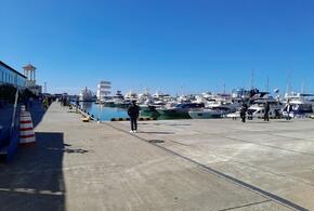 Берег турецкий: стали известны цены на билет на паром Сочи-Трабзон