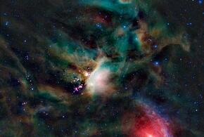 Близнецы посетят светское мероприятие, Львам предстоит сделать выбор