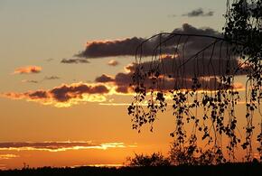 Более 40 человек пострадали от отравления едой, из-за атаки БПЛА начался пожар на газзаводе: что произошло, пока вы спали